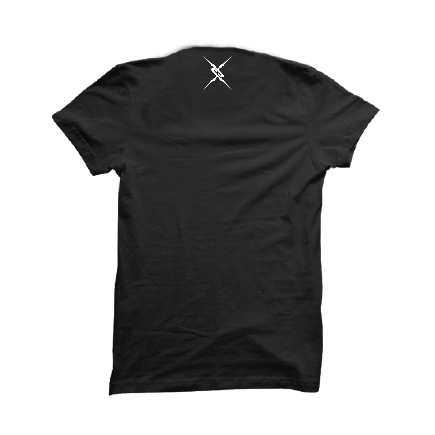 DESTINEX T-shirt　Back